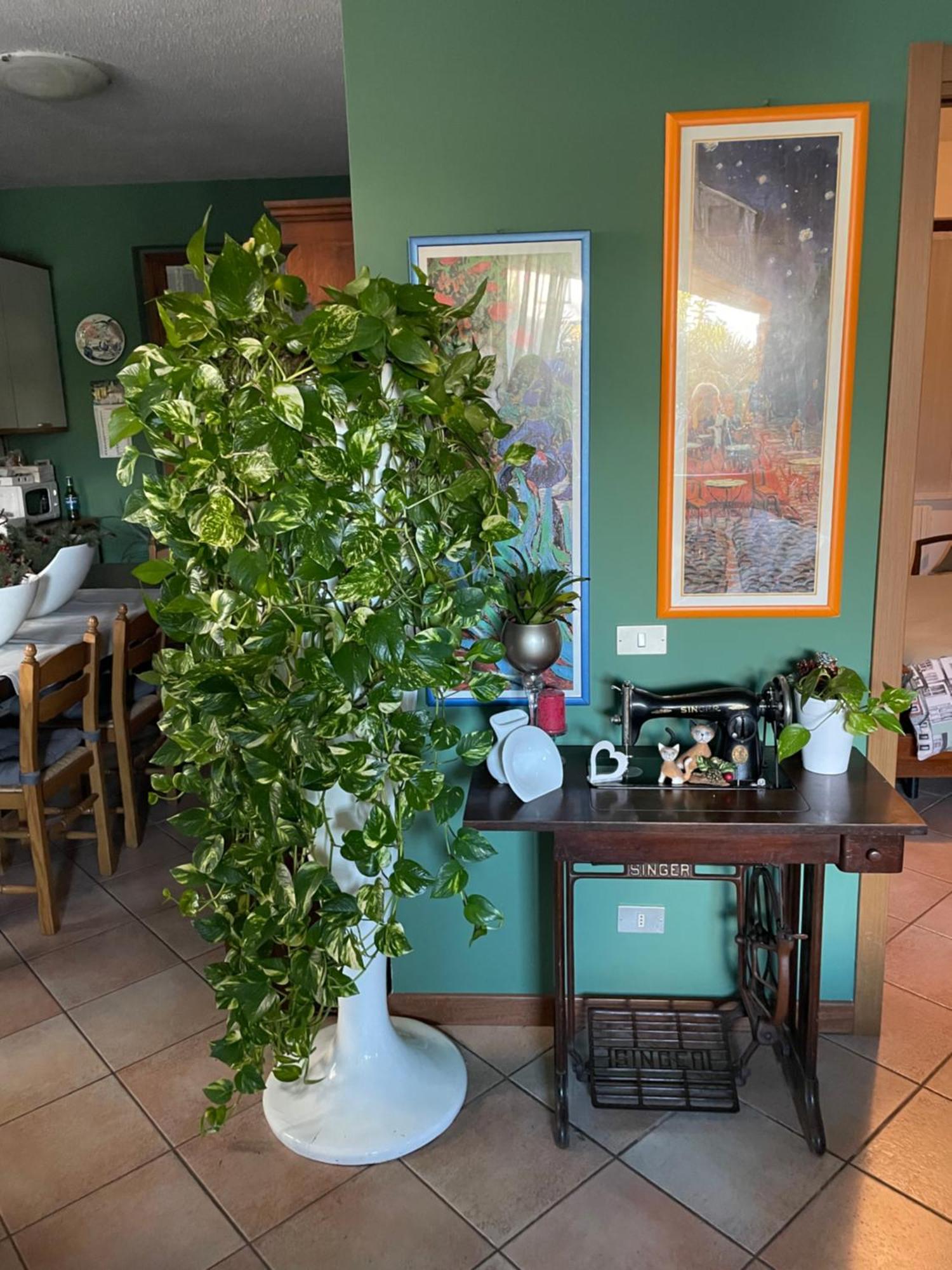 Il Giardino Di Emilia - Intero Appartamento In Villa Con Giardino Privato E Piscina Estiva Pontirolo Nuovo Luaran gambar