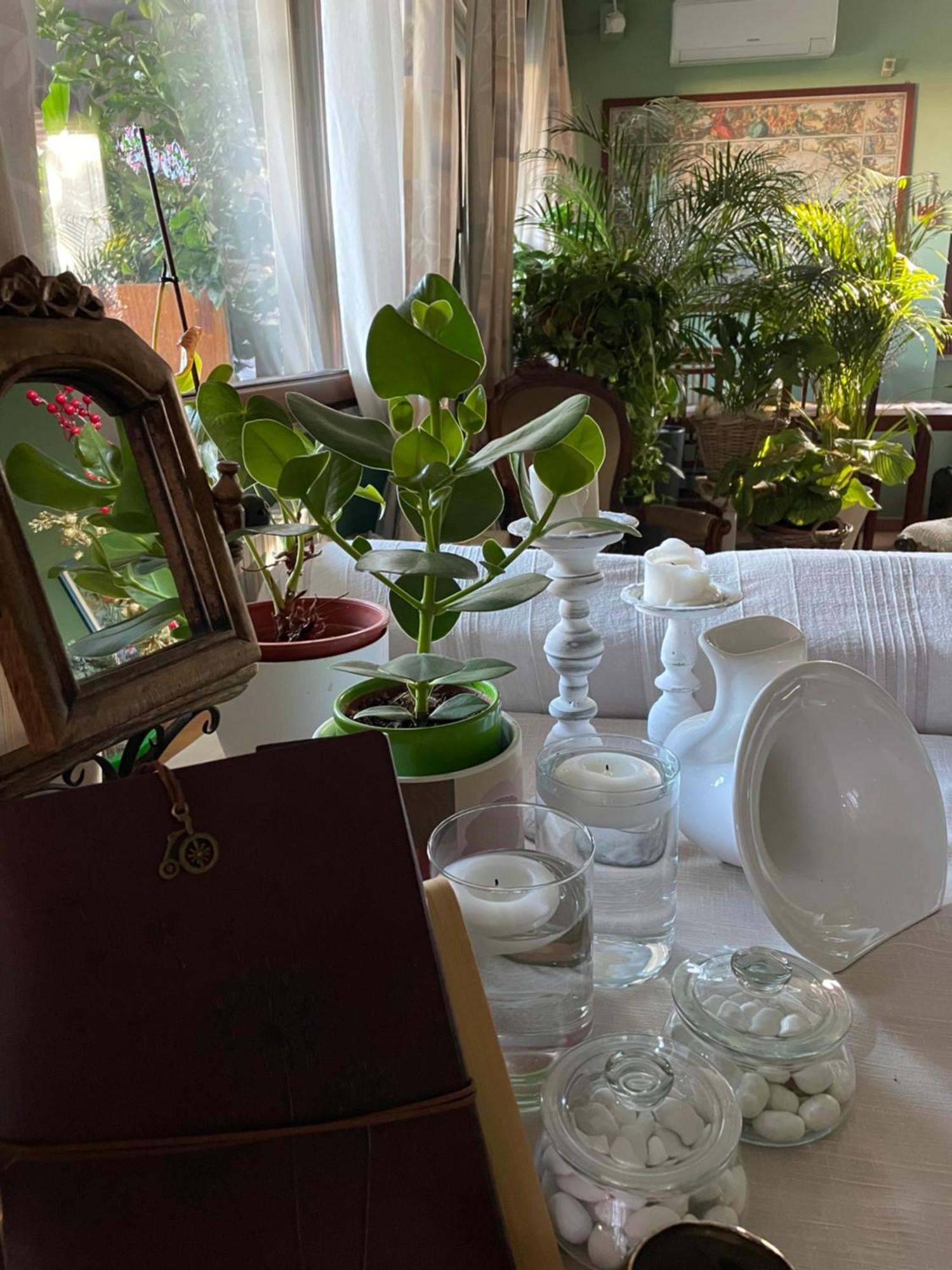 Il Giardino Di Emilia - Intero Appartamento In Villa Con Giardino Privato E Piscina Estiva Pontirolo Nuovo Luaran gambar