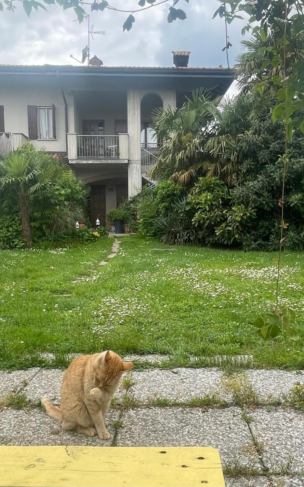 Il Giardino Di Emilia - Intero Appartamento In Villa Con Giardino Privato E Piscina Estiva Pontirolo Nuovo Luaran gambar